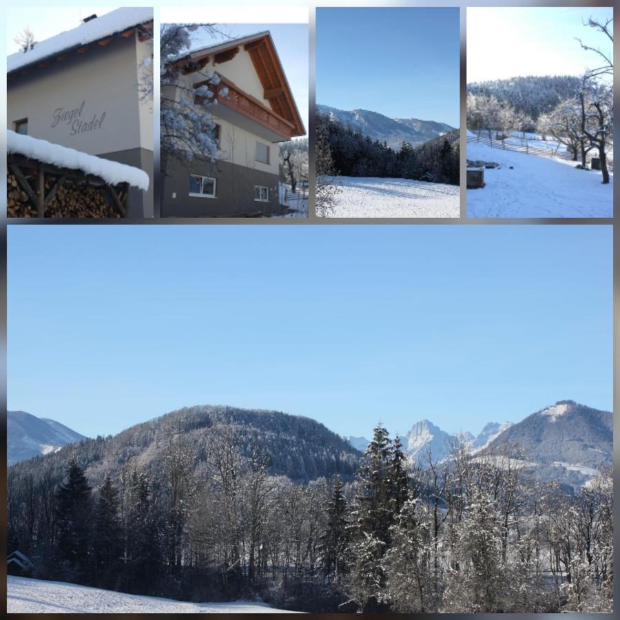 Landhaus Ziegelstadel 温蒂加斯顿 外观 照片