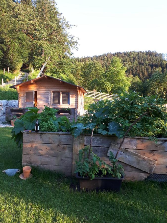 Landhaus Ziegelstadel 温蒂加斯顿 外观 照片